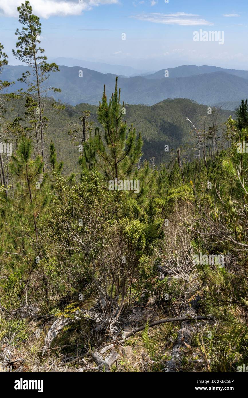 North America, Caribbean, Greater Antilles, Hispaniola Island, Dominican Republic, Central Cordillera, View over the Parque Nacional Armando Bermúdez in the ascent to Pico Duarte Stock Photo