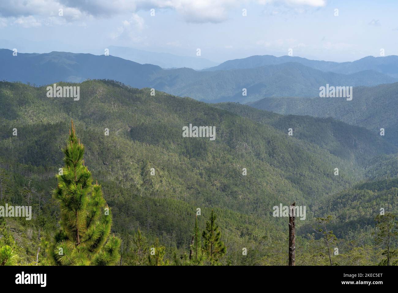 North America, Caribbean, Greater Antilles, Hispaniola Island, Dominican Republic, Central Cordillera, View over the Parque Nacional Armando Bermúdez in the ascent to Pico Duarte Stock Photo