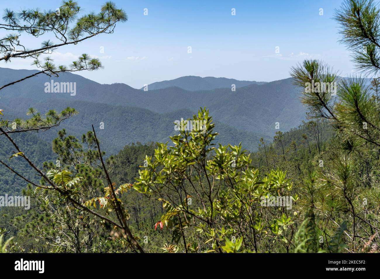 North America, Caribbean, Greater Antilles, Hispaniola Island, Dominican Republic, Central Cordillera, View over the Parque Nacional Armando Bermúdez in the ascent to Pico Duarte Stock Photo