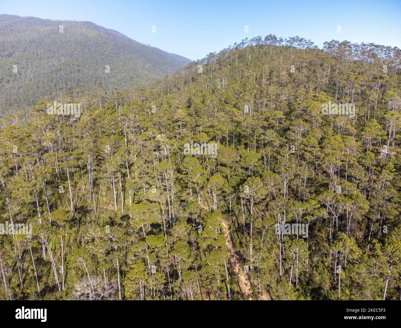 North America, Caribbean, Greater Antilles, Hispaniola Island