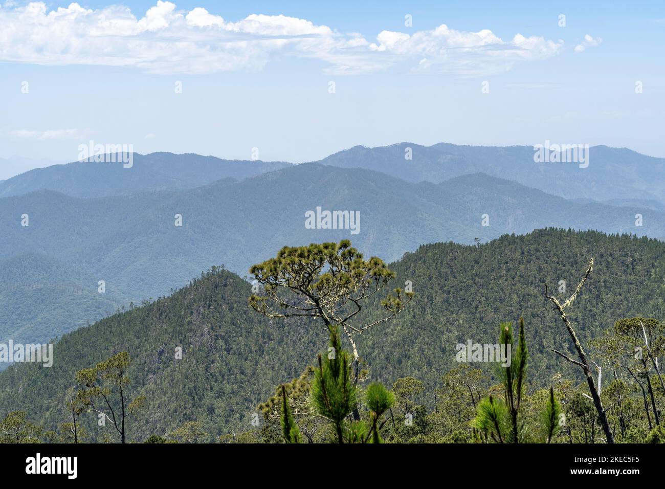 North America, Caribbean, Greater Antilles, Hispaniola Island, Dominican Republic, Central Cordillera, View over the Parque Nacional Armando Bermúdez in the ascent to Pico Duarte Stock Photo