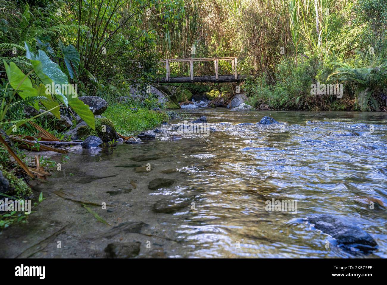 North America, Caribbean, Greater Antilles, Hispaniola Island