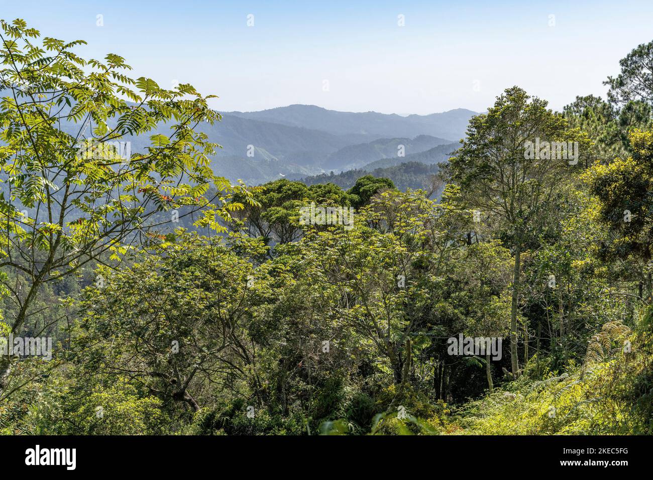 North America, Caribbean, Greater Antilles, Hispaniola Island