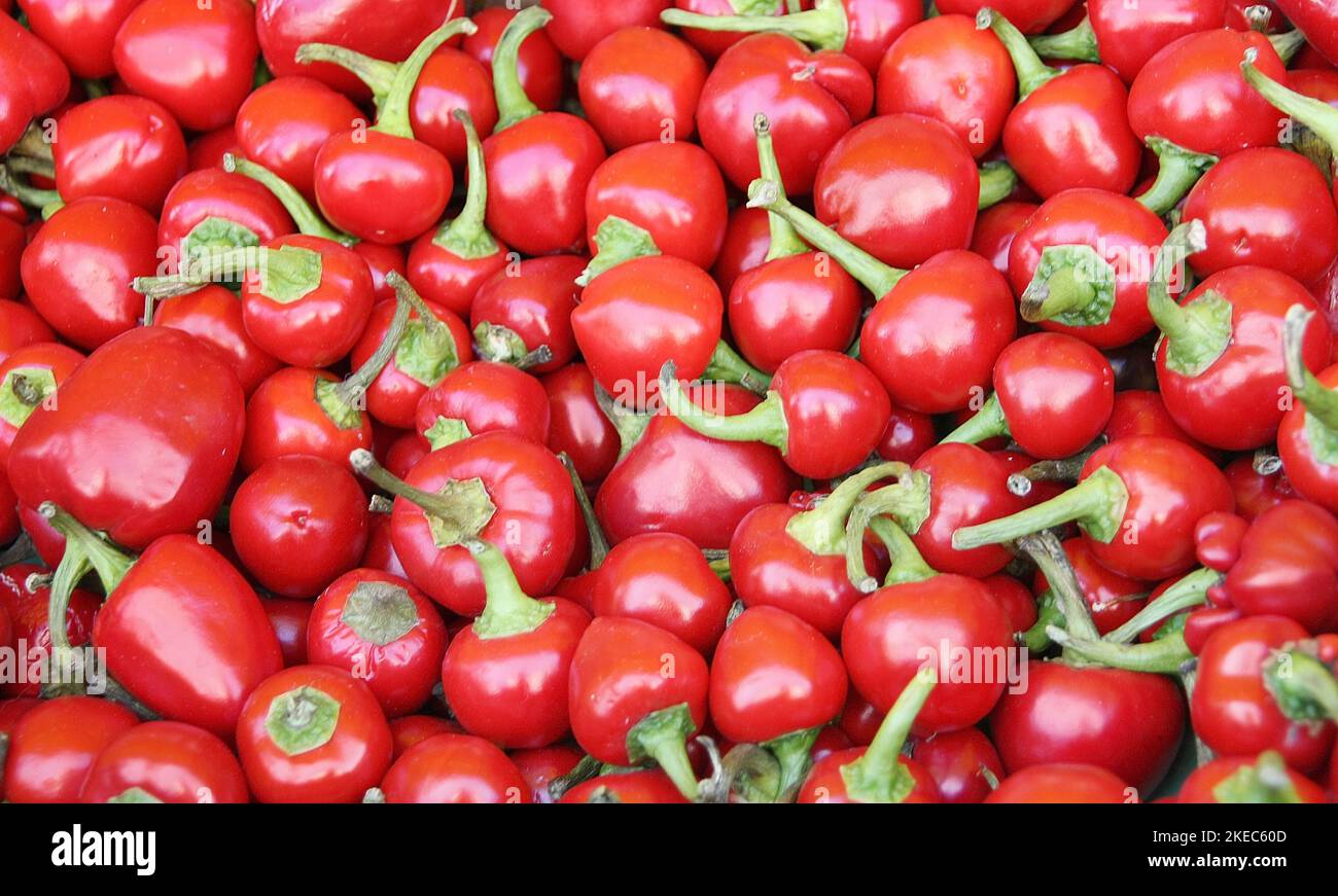 Cherry peppers or pimiento (Capsicum annuum) in full frame as background Stock Photo