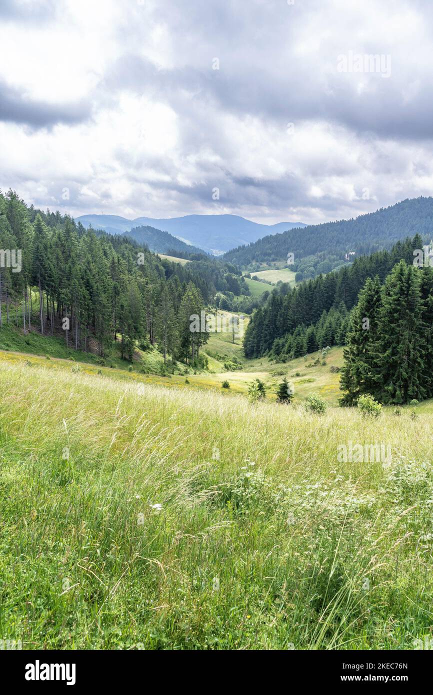 Europe, Germany, Southern Germany, Baden-Wuerttemberg, Black Forest