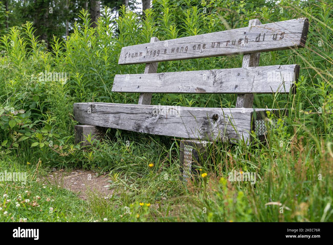 Europe, Germany, Southern Germany, Baden-Wuerttemberg, Black Forest, wooden bench with saying in dialect in southern Black Forest Stock Photo