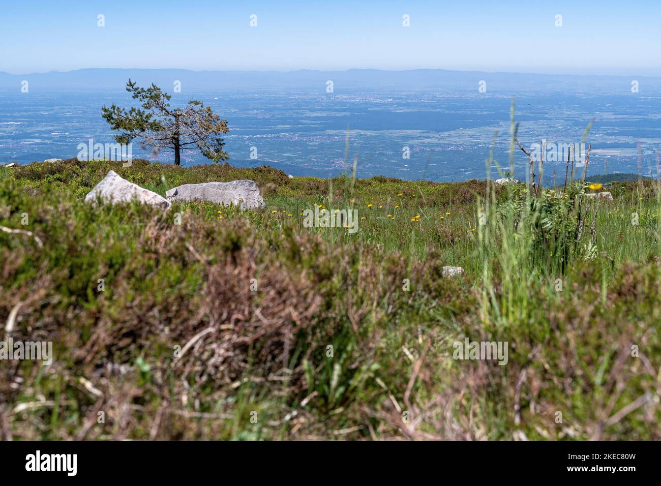 Europe, Germany, Southern Germany, Baden-Wuerttemberg, Black Forest, view from Hornisgrinde to Upper Rhine Plain Stock Photo