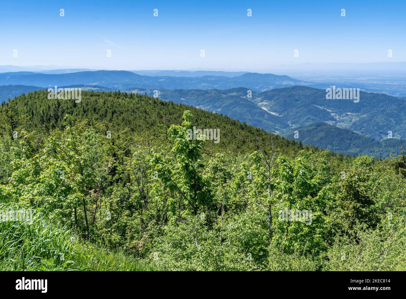 Europe, Germany, Southern Germany, Baden-Wuerttemberg, Black Forest, View from Hornisgrinde over northern Black Forest Stock Photo