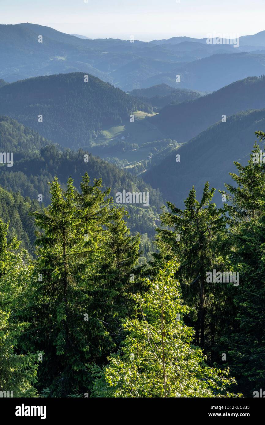 Europe, Germany, Southern Germany, Baden-Wuerttemberg, Black Forest, view over a small Black Forest valley Stock Photo