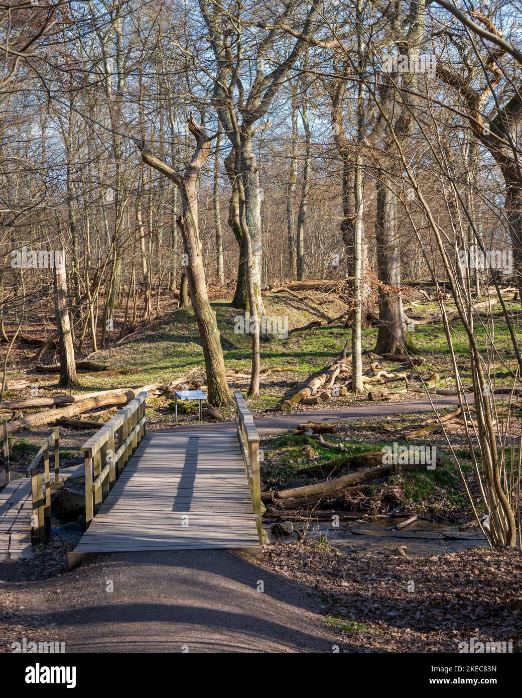 Bridge over small stream in Swedens smallest national park Dalby