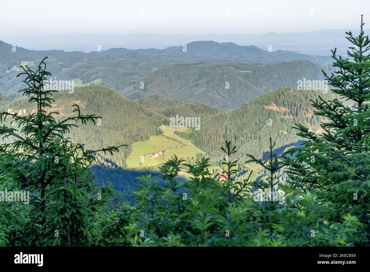 Europe, Germany, Southern Germany, Baden-Wuerttemberg, Black Forest, View from Westweg to Rotenbach near Oppenau Stock Photo