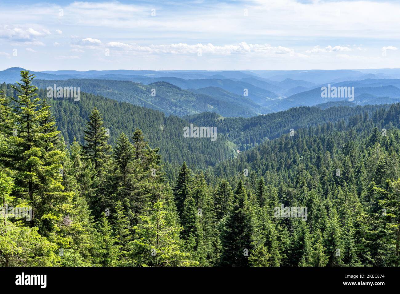 Europe, Germany, Southern Germany, Baden-Württemberg, Black Forest, view over an idyllic Black Forest landscape near Oberwolfach Stock Photo