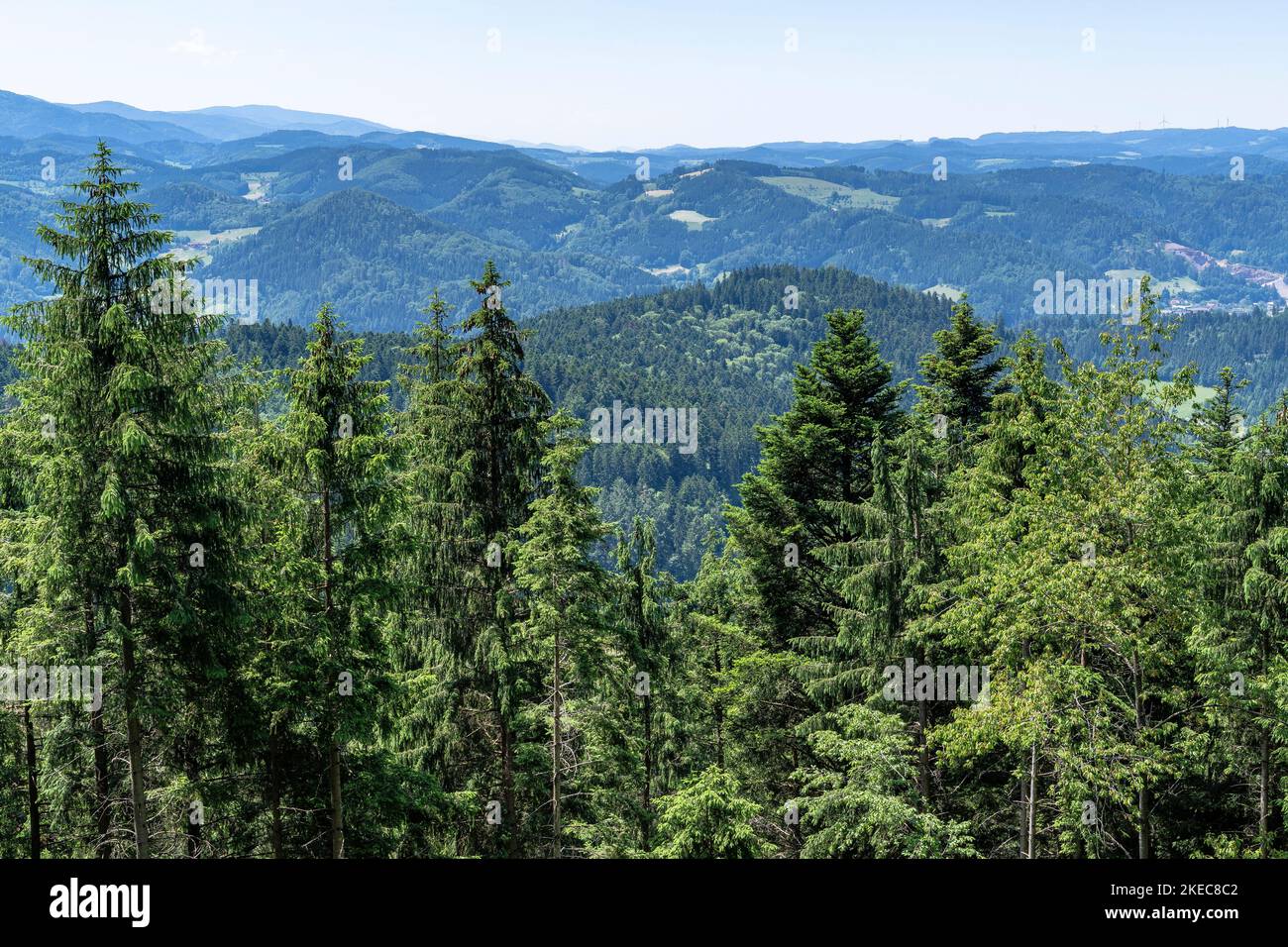 Europe, Germany, Southern Germany, Baden-Wuerttemberg, Black Forest, view from Hohenlochenhütte in direction Farrenkopf, Hausach and Haslach Stock Photo