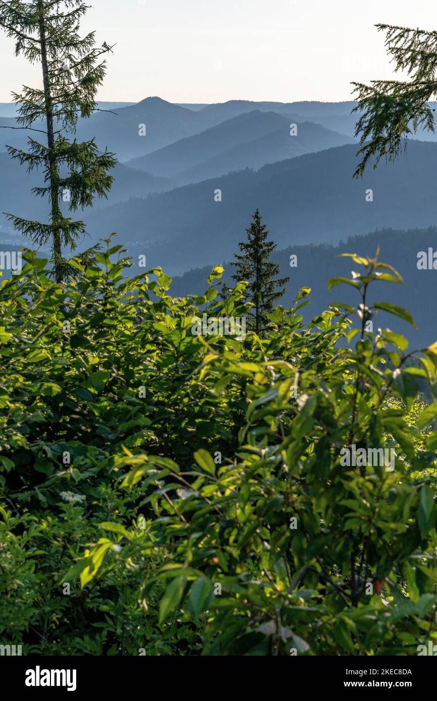 Gunther's Valley, Black Forest, Baden, Germany main image 1