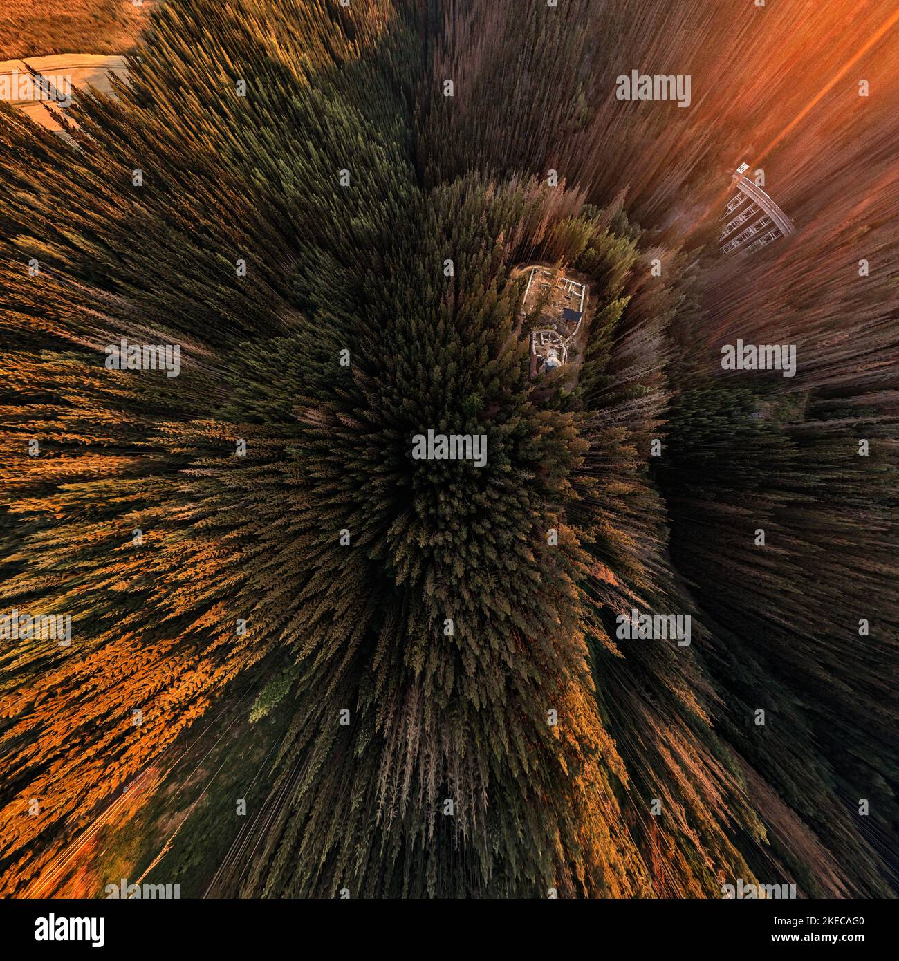 Germany, Thuringia, Remptendorf, Weisbach, Wysburg, ruin, foundation