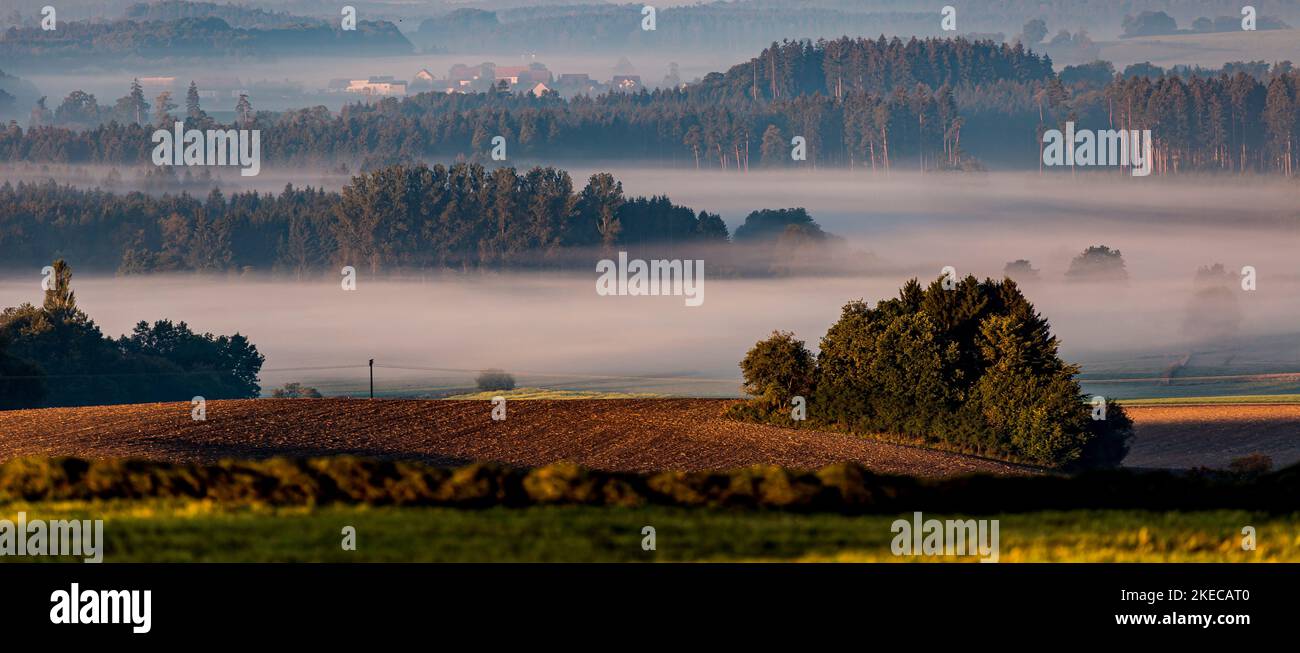 Landscape in fog, near Bad Saulgau Stock Photo
