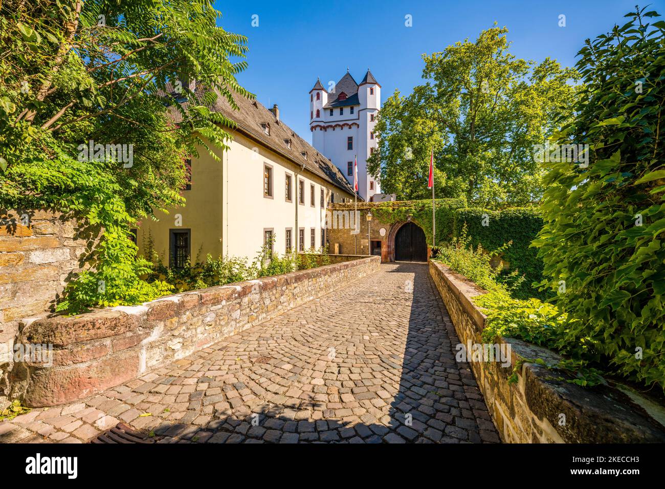 Views Of Eltville In The Rheingau, A Rose And Sustainability Town With ...