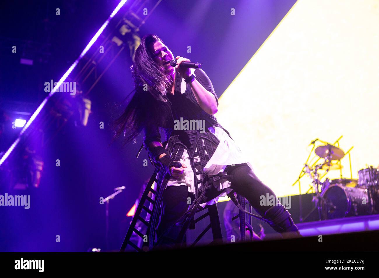 Milano, Italy. 10th Nov, 2022. Amy Lee of American rock band Evanescence performs live at Mediolanum Forum Credit: SOPA Images Limited/Alamy Live News Stock Photo