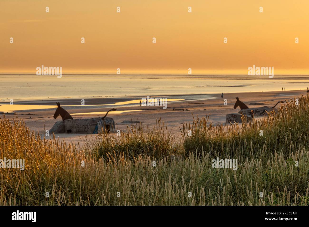 View at sunset on the North Sea beach of Blavand with its bunkers, which were embellished as mule - sculptures Stock Photo