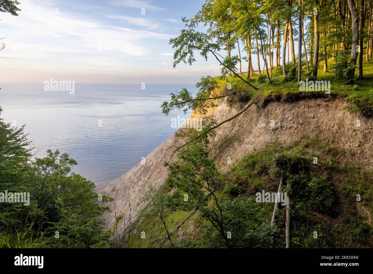 View of the chalk cliffs of the island of Rügen in early summer at ...