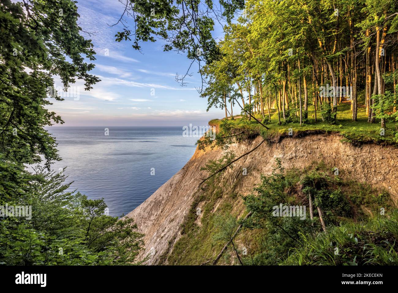 View of the chalk cliffs of the island of Rügen in early summer at ...