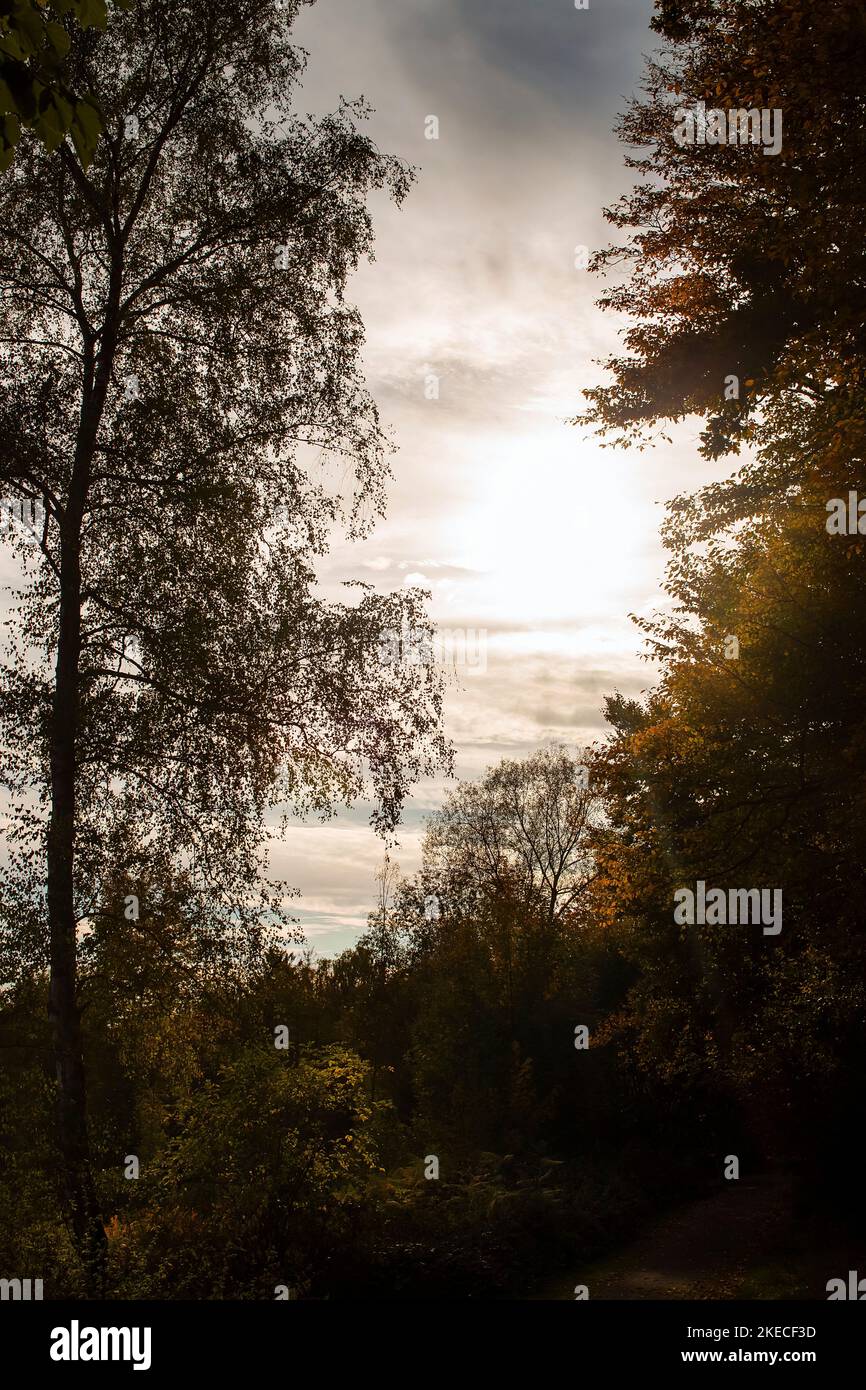 October Fallscape October landscape hi-res stock photography and images - Alamy