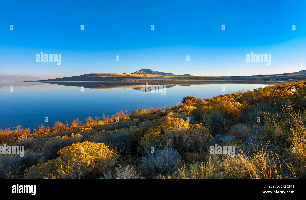 Landscape at the Great Salt Lake. Stock Photo