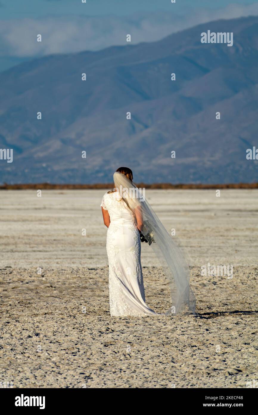 Bride at the photo session at the Great Salt Lake. Stock Photo