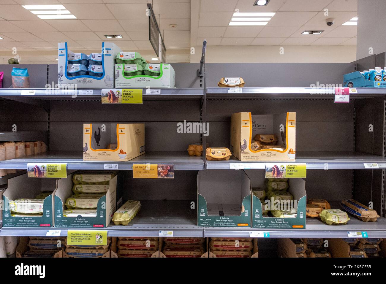 Brighton, November 2nd 2022 A relatively empty set of egg shelves in