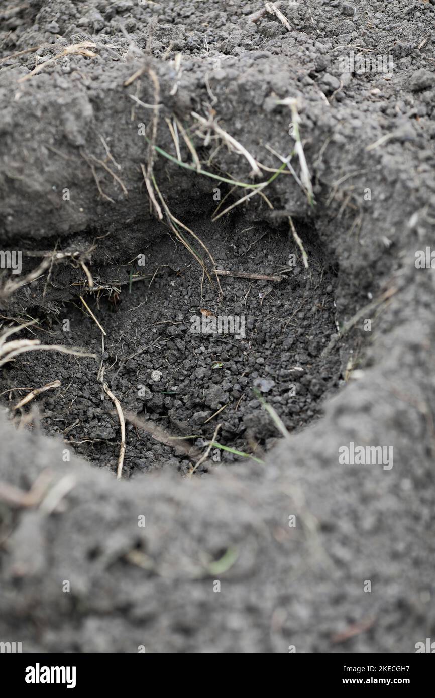 Shallow depth of field (selective focus) details with soil during a November cold and rainy day. Stock Photo