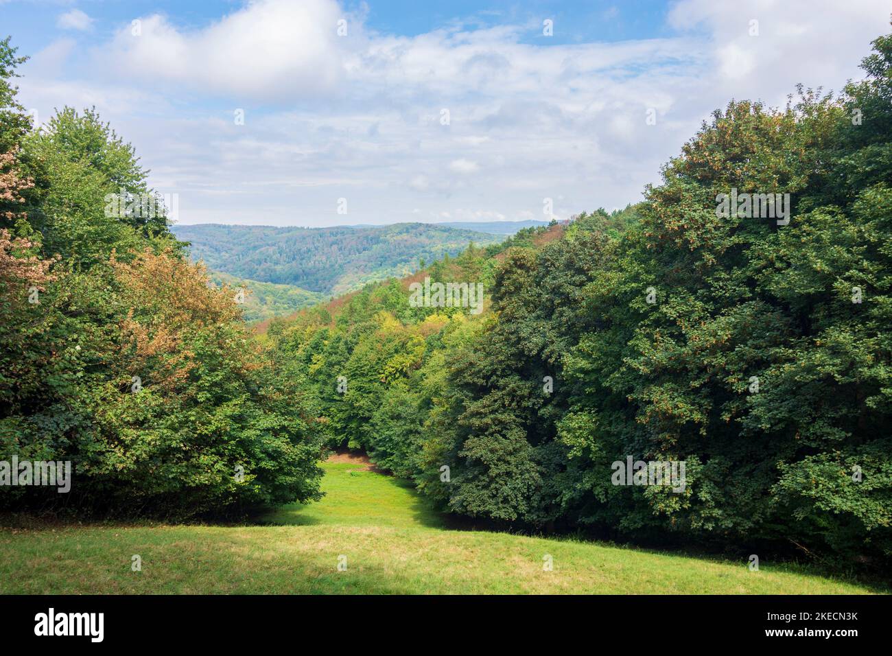 Bratislava (Pressburg), forest in Bratislavsky lesny park in Male Karpaty (Little Carpathians), Slovakia Stock Photo