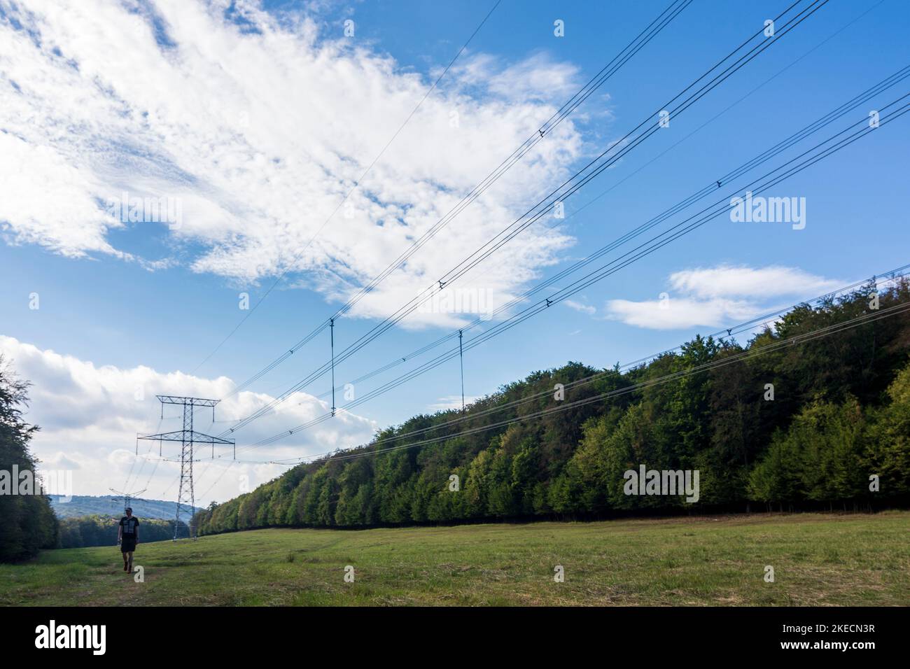 Sväty Jur (Sankt Georgen), high voltage pylons in forest, way for proposed freeway D4 in Male Karpaty (Little Carpathians), Slovakia Stock Photo