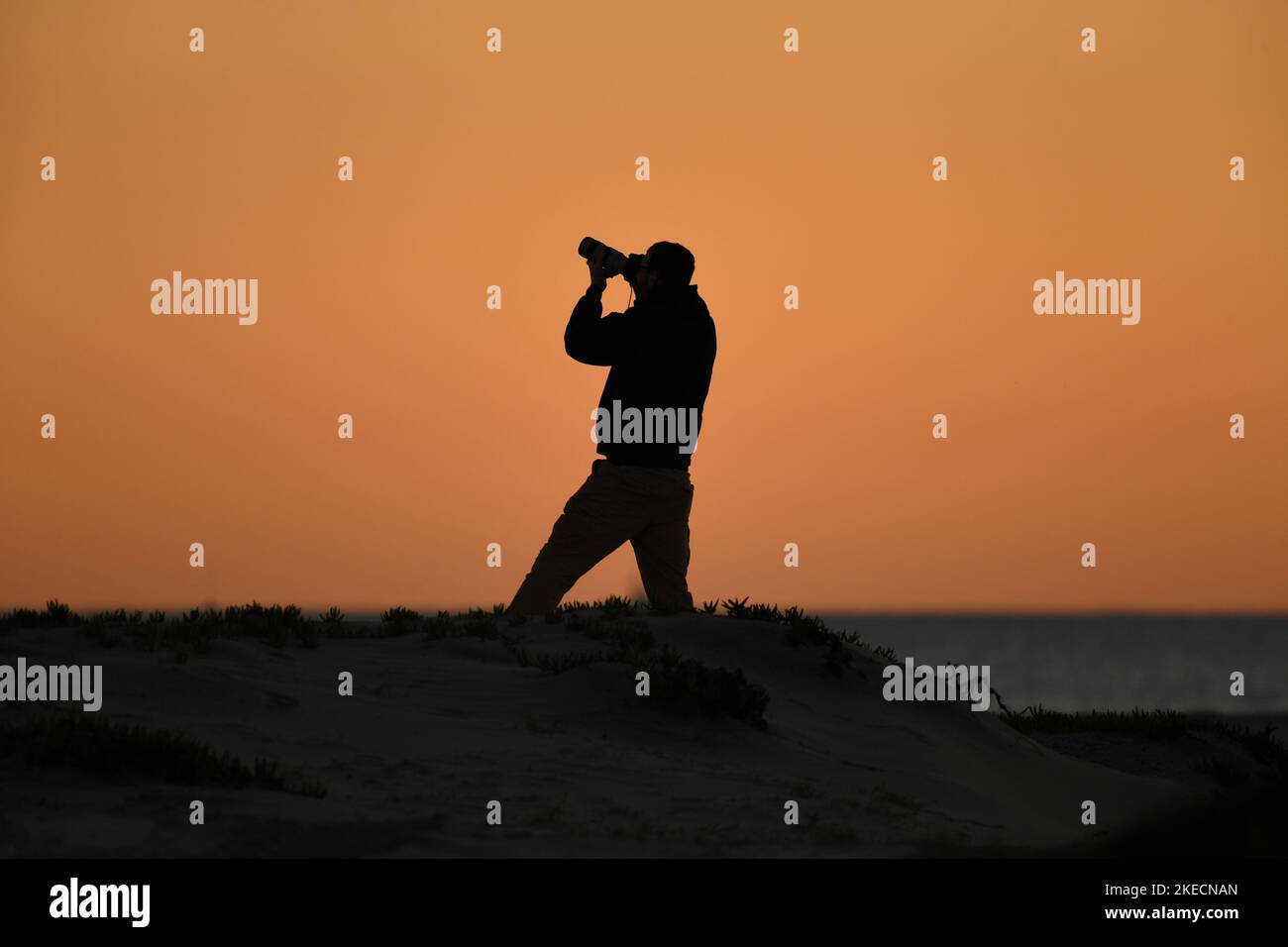 Photographer at work on the beach in Coronado, California at sunset Stock Photo