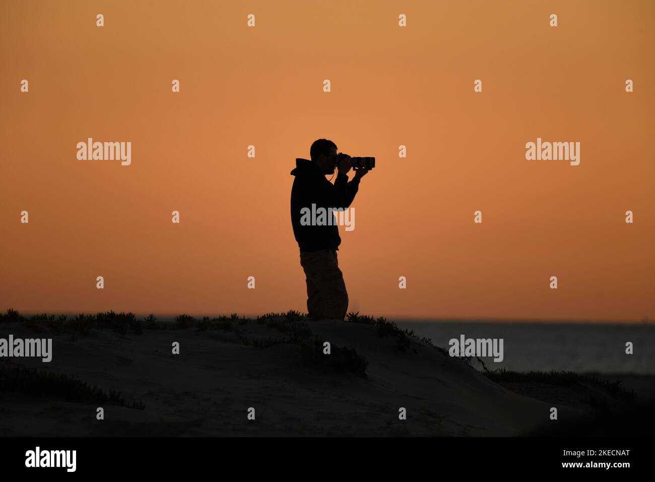 Photographer at work on the beach in Coronado, California at sunset Stock Photo