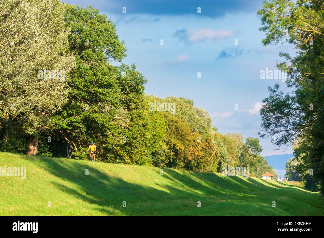 Nationalpark DonauAuen, DanubeAuen National Park, dam Hubertusdamm