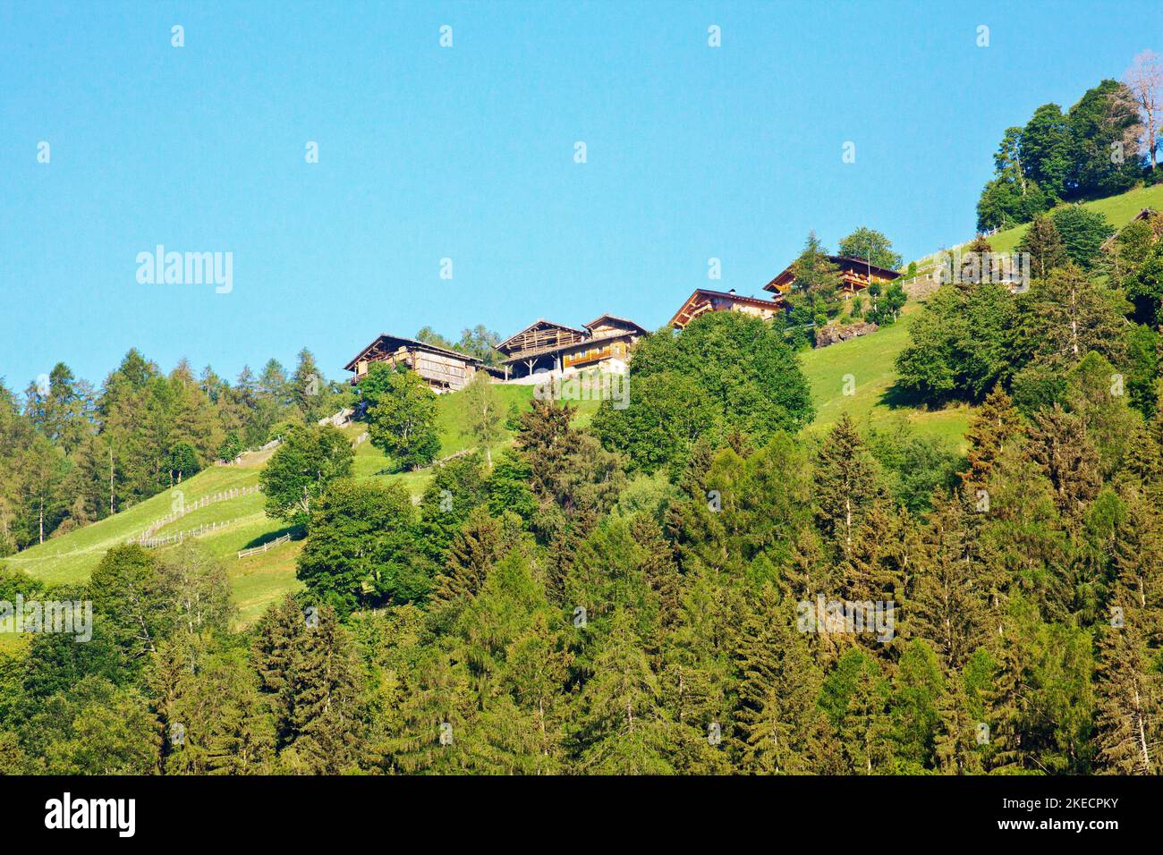 Mountain farm on the steep mountain slope in the mountain meadows in South Tyrol Ulten Valley Stock Photo