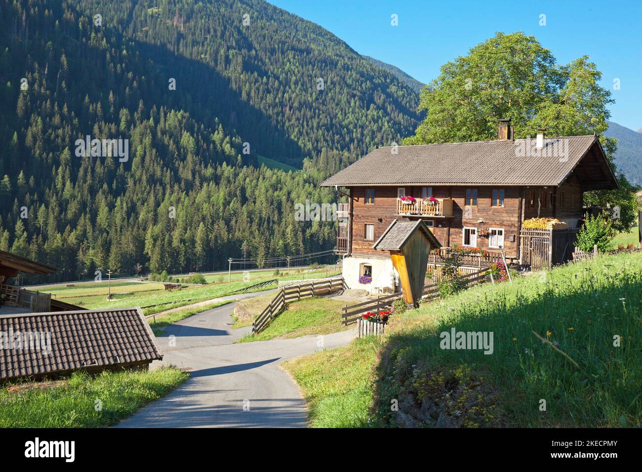 Mountain farmhouse surrounded by meadows and forest in the South Tyrolean Ulten Valley Stock Photo