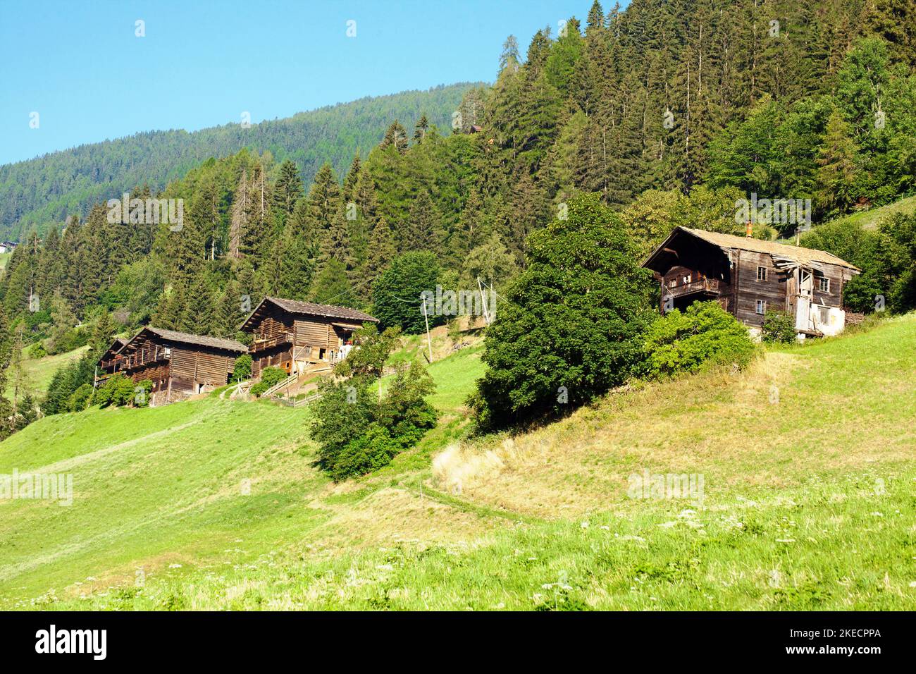 Mountain farm on the steep mountain slope in the mountain meadows in the South Tyrolean Ulten Valley Stock Photo