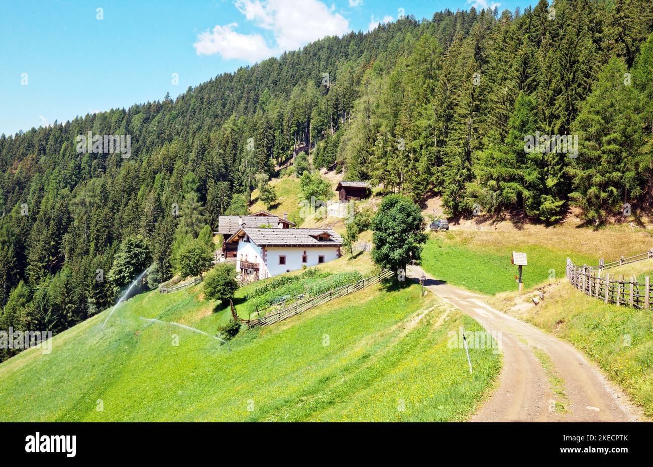 Mountain farms in the South Tyrolean Ulten Valley Stock Photo