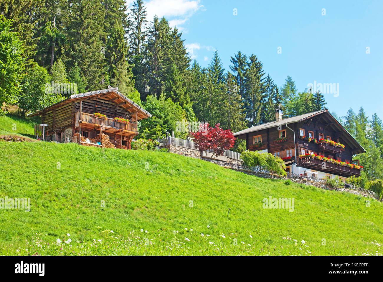 Mountain farm on the steep mountain slope in the mountain meadows in the South Tyrolean Ulten Valley Stock Photo