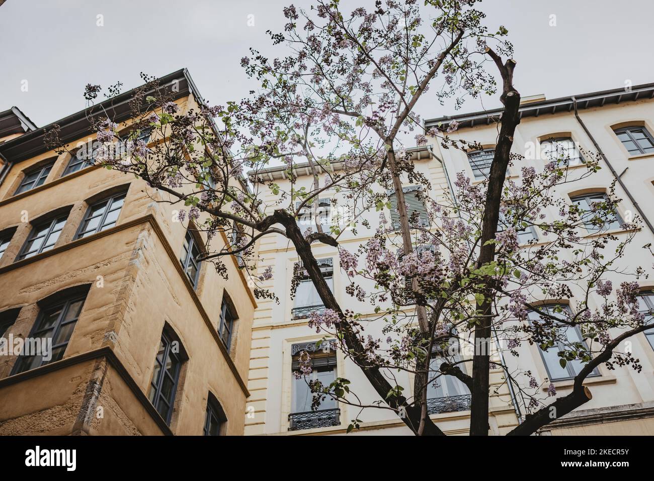 Light brown buildings hires stock photography and images Alamy