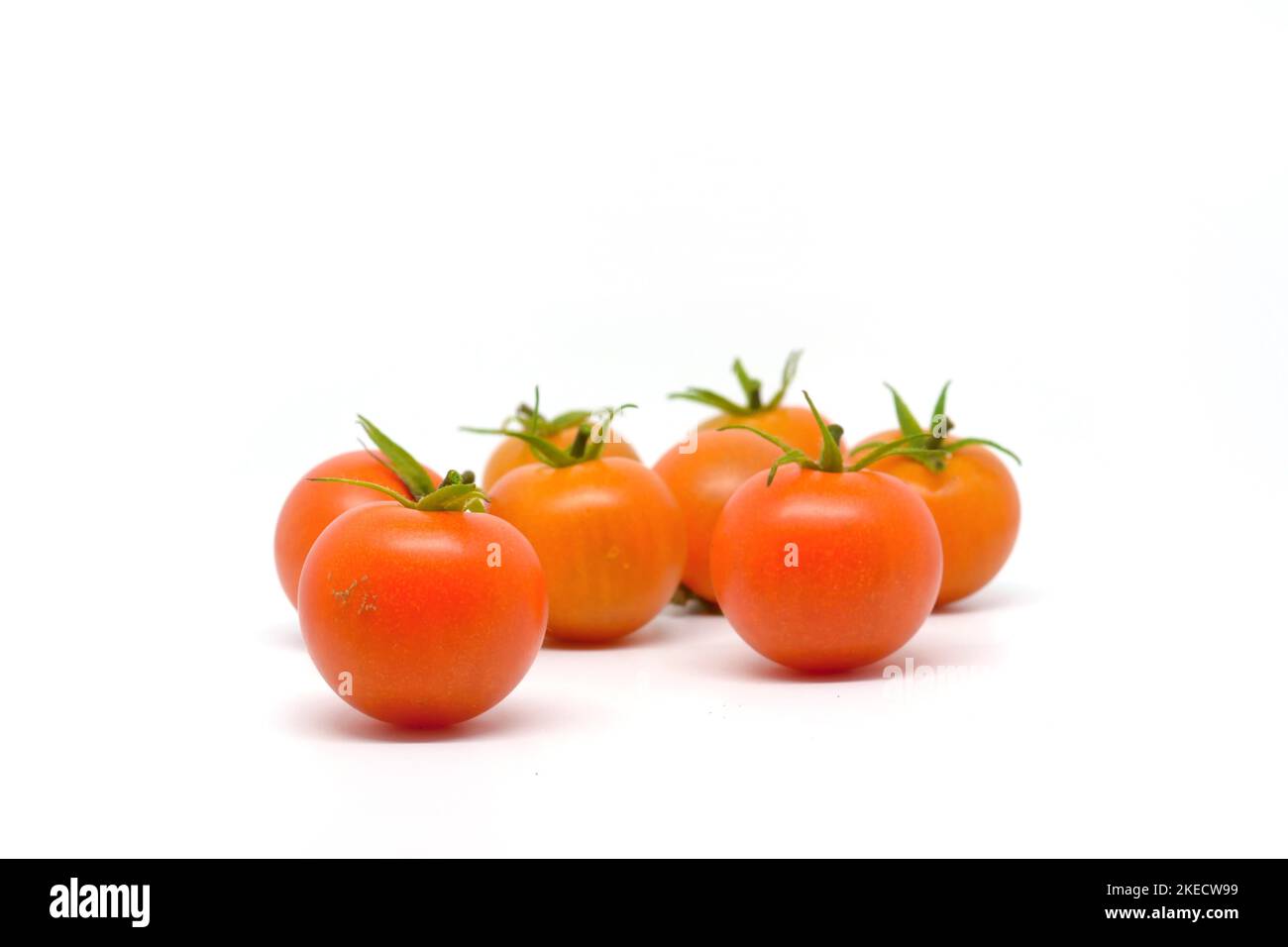 Fresh tomatoes isolated on white background.Cherry tomatoes on white background. Round red trellis tomatoes, also called vine tomato. Stock Photo