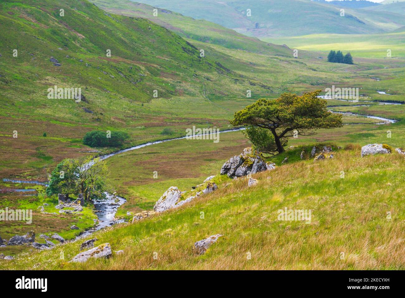 The Cambrian mountains of Mid Wales is a wild and remote area Stock Photo