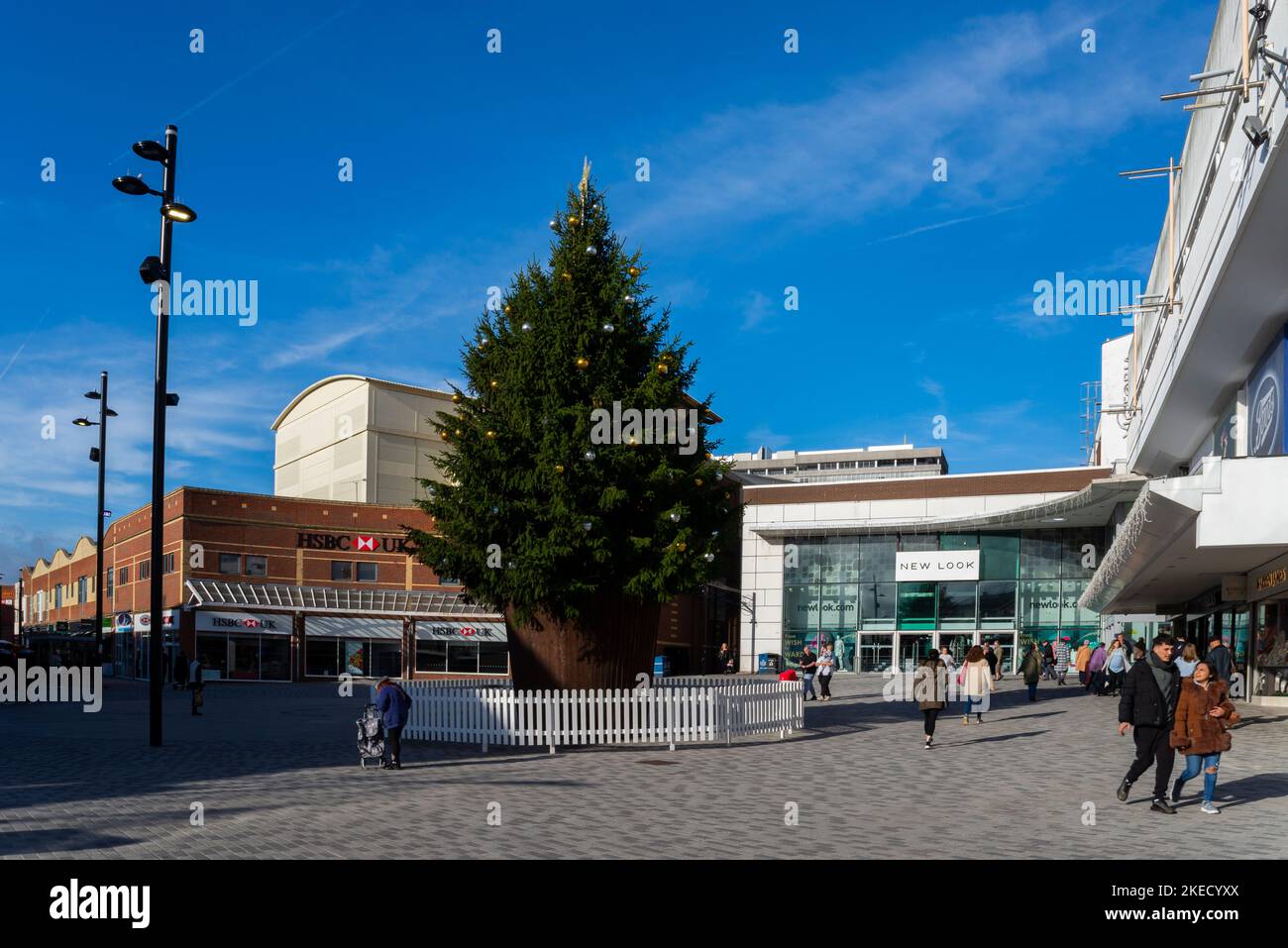 Christmas tree in High Street shopping street. Southend on Sea, High