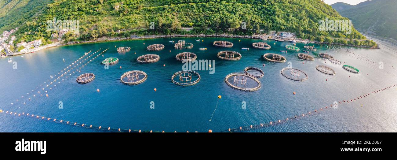 Oyster farm in the Mediterranean. Montenegro, Kotor BANNER, LONG FORMAT
