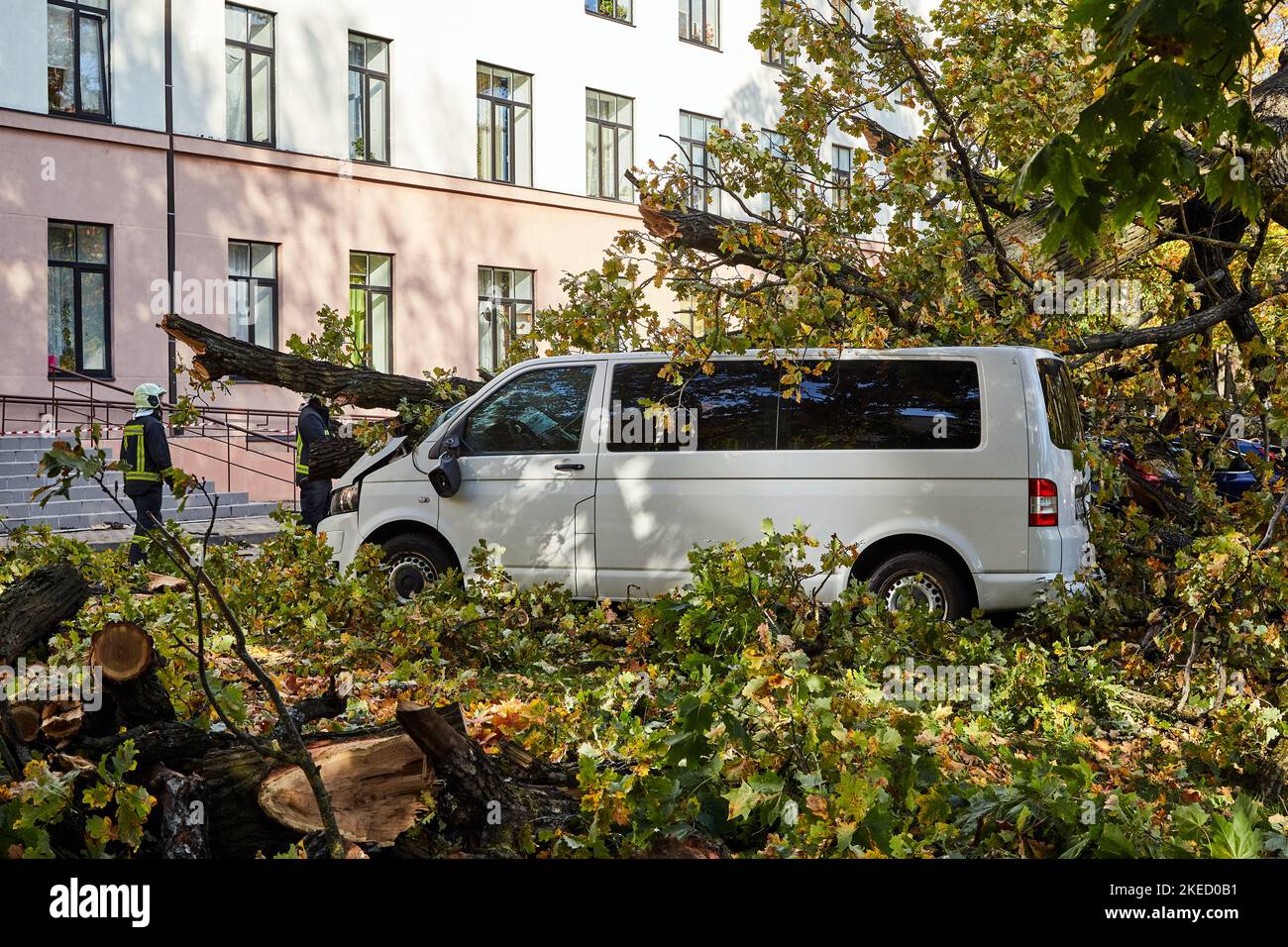 October 10, 2021,Riga Latvia: a strong wind broke a tree that fell on a ...