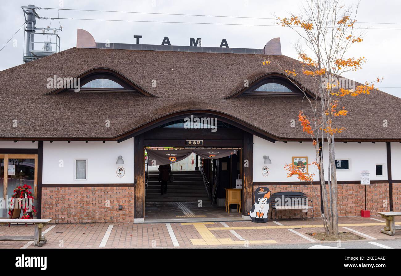 Tama cat japan hi-res stock photography and images - Alamy