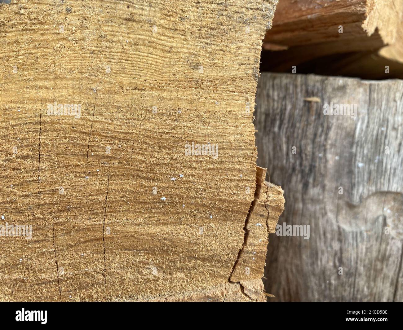 Timber Planking Rythm Piles of wooden boards, planking. Wood timber stack of firewood ...