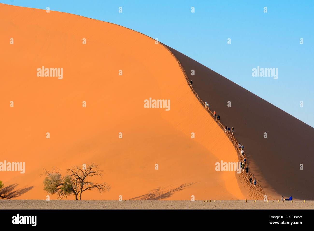 People climbing Dune 45, Sossusvlei, Namib-Nuakluft Park, Namib Desert ...