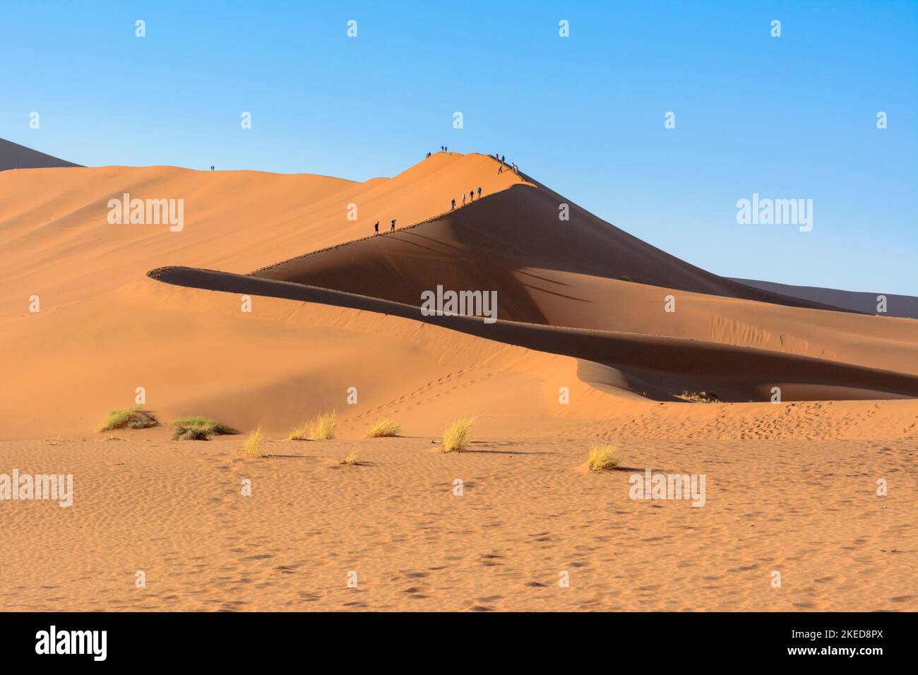 People climbing Big Daddy or Crazy Dune, the tallest sand dune between